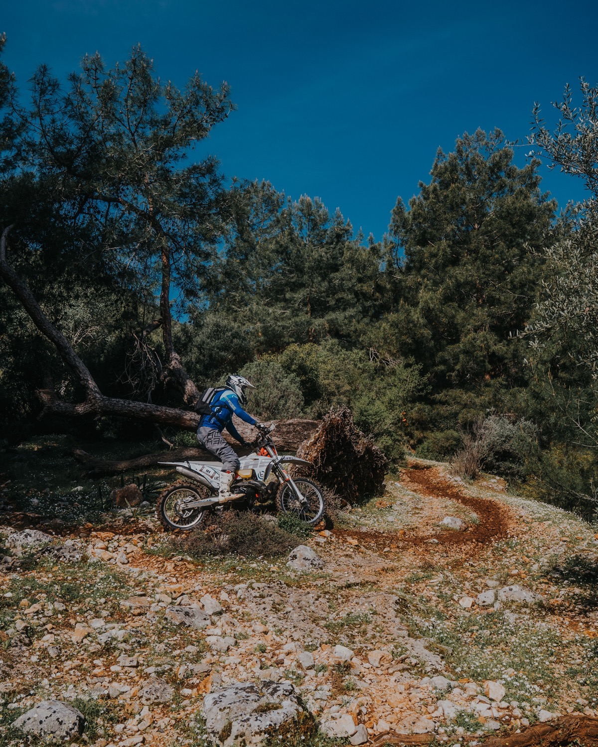 Pilote enduro sur un sentier forestier.